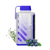 Vozol Gear Power 20000 Blue Mojito