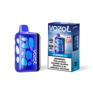 Alternative view of Vozol Rave 40000 Blueberry Ice