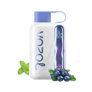 VOZOL Star 40000 Blueberry Mint