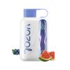 VOZOL Star 40000 Blueberry Watermelon