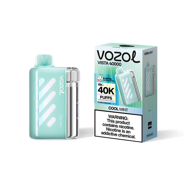 Vozol Vista 40000 Cool Mint – Bild 2