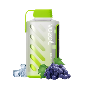 Vozol Gear Power 20000 Grape Ice