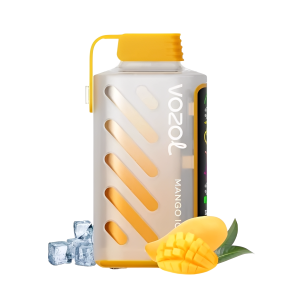 Vozol Gear Power 20000 Mango Ice