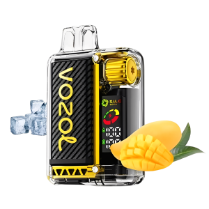 Vozol Vista 20000 Mango Ice