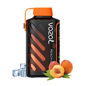 Vozol Gear Power 20000 Peach Ice