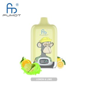 RandM Digital Box 12000 Lemon & Lime