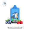 RandM Digital Box 12000 Blueberry Raspberry
