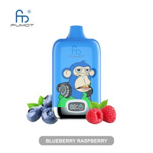 RandM Digital Box 12000 Blueberry Raspberry