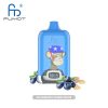 RandM Digital Box 12000 Blueberry Bubblegum