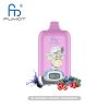 RandM Digital Box 12000 Blueberry Cherry Cranberry