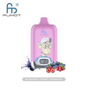 RandM Digital Box 12000 Blueberry Cherry Cranberry