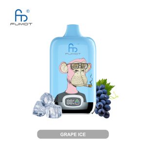 RandM Digital Box 12000 Grape Ice