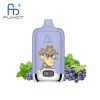 RandM Digital Box 12000 Grape Mint