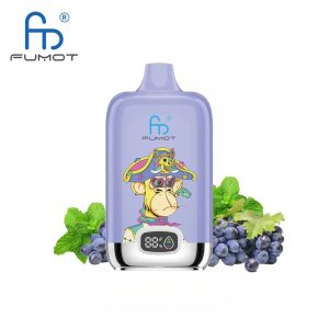 RandM Digital Box 12000 Grape Mint