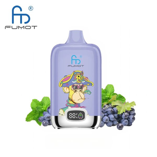 RandM Digital Box 12000 Grape Mint