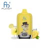 RandM Digital Box 12000 Ice Tea Lemon Ice